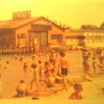 Tenean Beach in the Summer