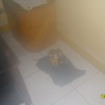 Not bad after all these years