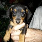 Mayang's Christmas present