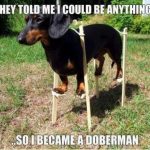 It's a dream they all have