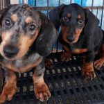 See why the kids love these two