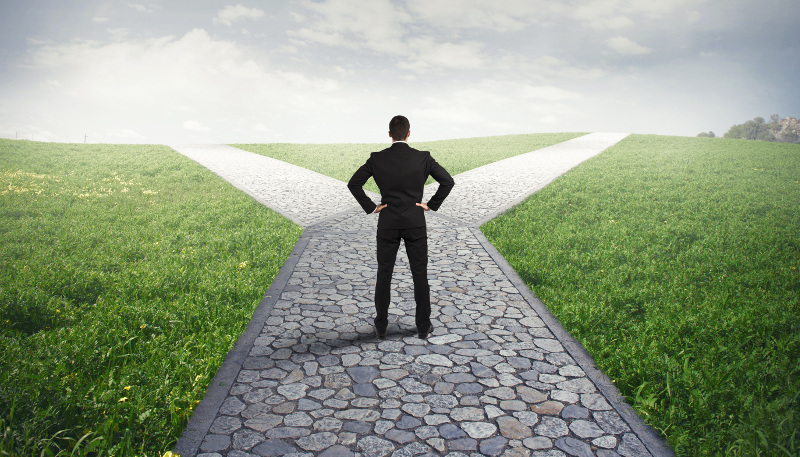 Which Way Will You Go