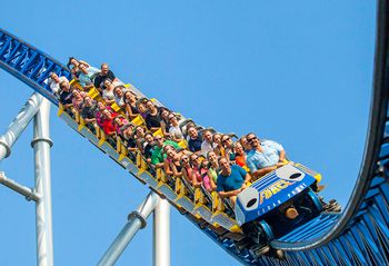 Riding the roller coaster