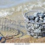 Clam bucket and rake