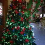 This years tree, which looks alot likelast years tree