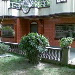 2010 Damn right I painted it