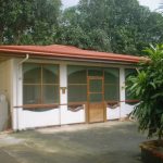 Party House backyard