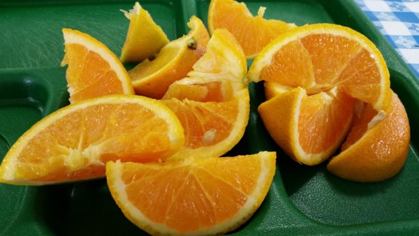 Mess Hall Food includes Fruits