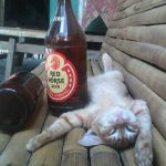 Saturday morning in the RP