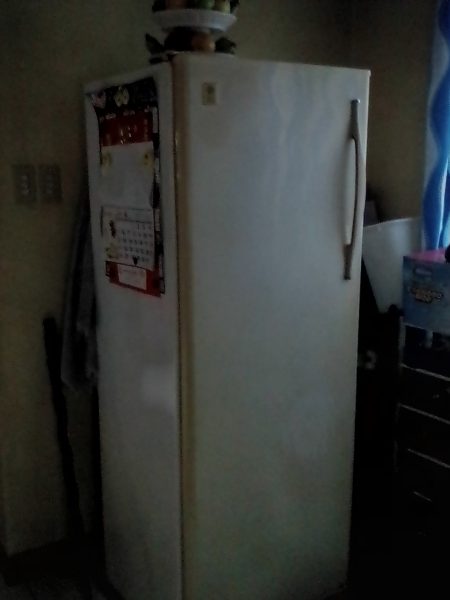 The Old General Electric Freezer